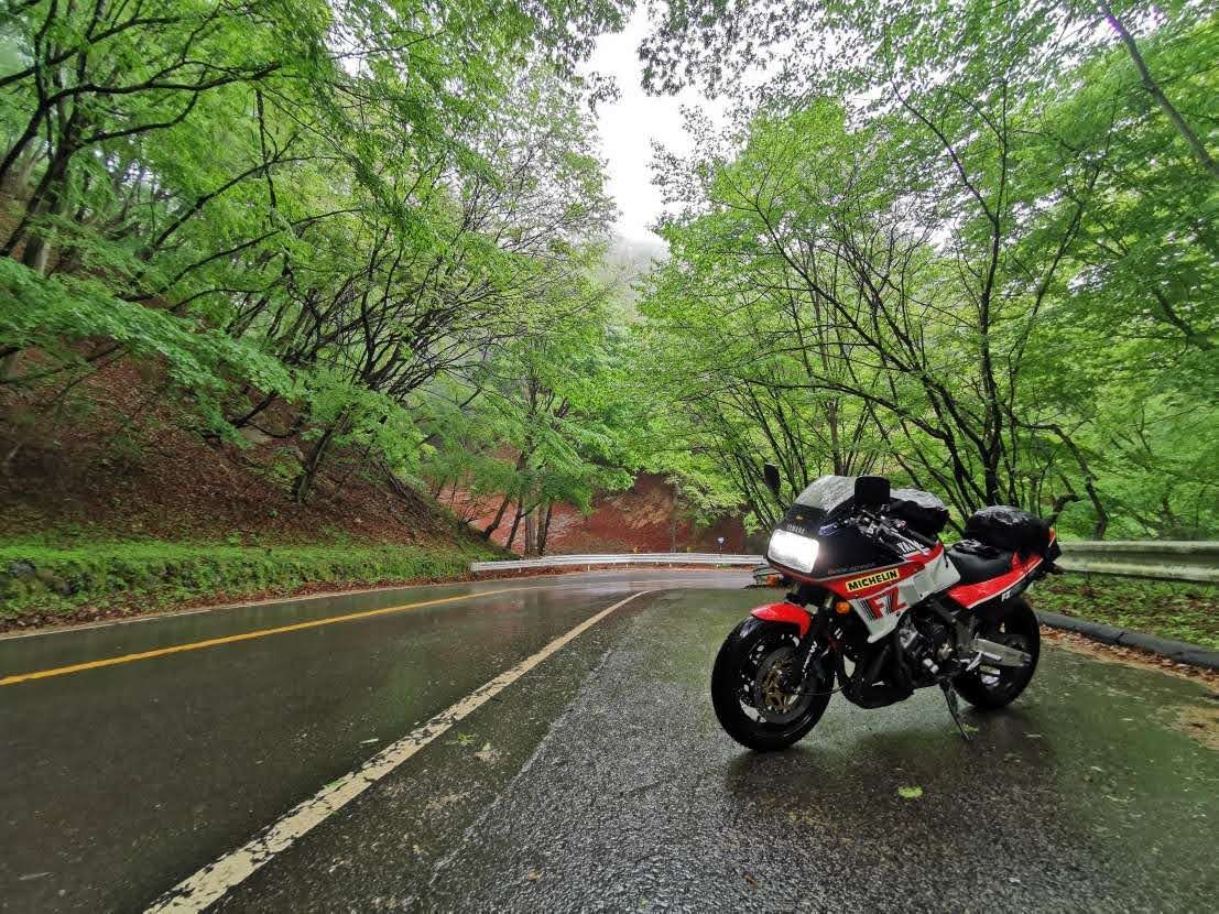 雨のワインディングロード